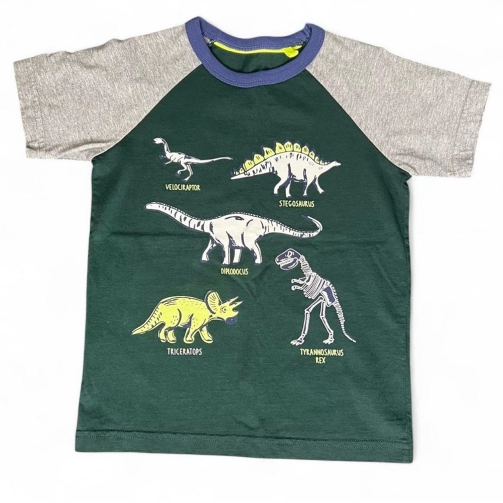 Dinosaur Graphic Kids Shirt